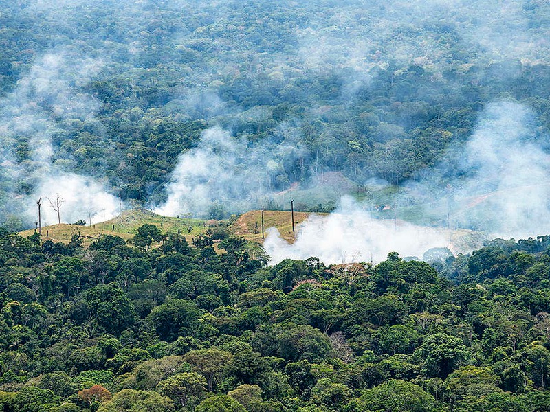 Papa faz apelo pela Amazônia: controlar os incêndios o quanto antes