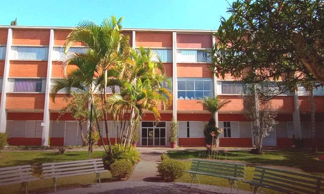 SIGNIS Brasil prepara Assembleia Geral e define prioridades para o futuro da comunicação católica