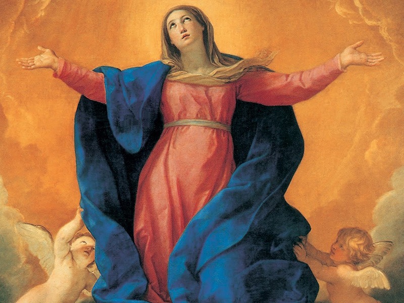 Conheça os motivos pelos quais a Igreja proclamou a Assunção de Nossa Senhora
