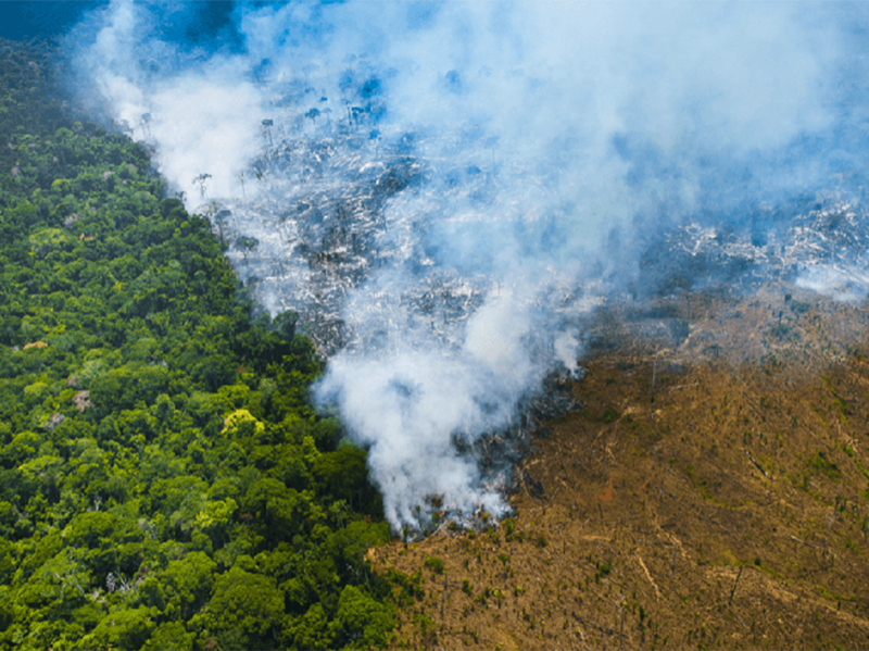 Dom Odilo: Sínodo da Amazônia no fogo das polêmicas